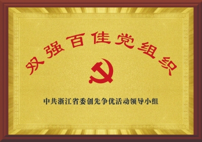 雙強(qiáng)百佳黨組織